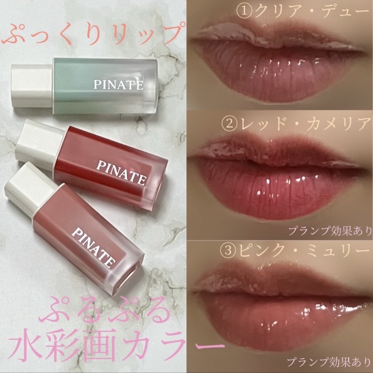 ナチュラルブルームリップオイルセラム 3色セット/PINATE/リップグロスを使ったクチコミ（1枚目）