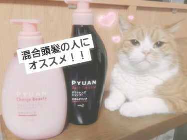 今回は、シャンプーとトリートメントをお安く手に入れたので
ご紹介しようと思います！

 

横の猫さん🐱は丁度近くに居たので、
癒しになればとツーショットしました笑📸



では！٩(.^∀^.)งLe