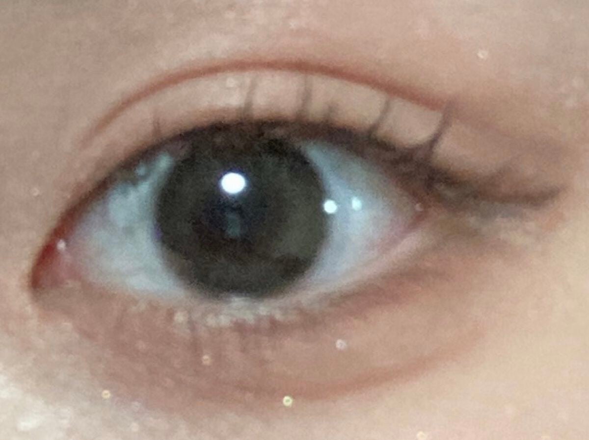 feliamo 1day/feliamo/ワンデー(1DAY)カラコンを使ったクチコミ(2枚目)