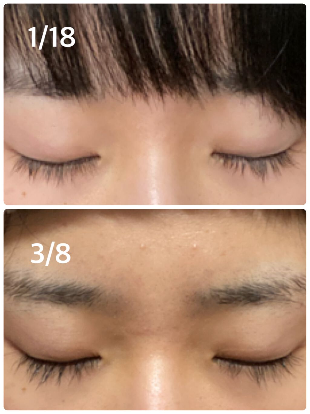 EMAKED（エマーキット）/水橋保寿堂製薬/まつげ美容液を使ったクチコミ（3枚目）