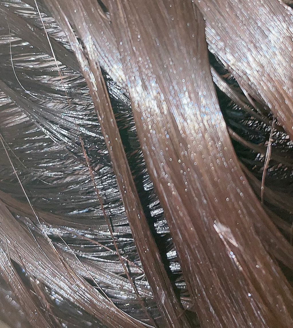 タラソヘッドスパマスク/S FREE/頭皮トリートメントを使ったクチコミ(5枚目)