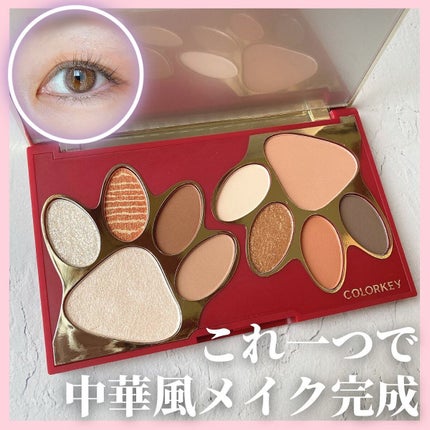 トラ十色アイシャドウパレット/COLORKEY/アイシャドウパレットを使ったクチコミ(1枚目)