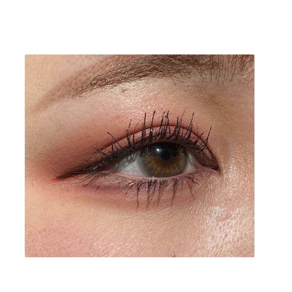 loveil 1day  Luster gray/loveil/ワンデー（１DAY）カラコンを使ったクチコミ（1枚目）