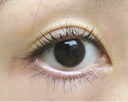 ラッシュジェリードロップ EX/MAJOLICA MAJORCA/まつげ美容液を使ったクチコミ(3枚目)