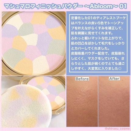 マシュマロフィニッシュパウダー ~Abloom~/キャンメイク/プレストパウダーを使ったクチコミ(2枚目)