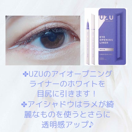EYE OPENING LINER/UZU BY FLOWFUSHI/リキッドアイライナーを使ったクチコミ(2枚目)