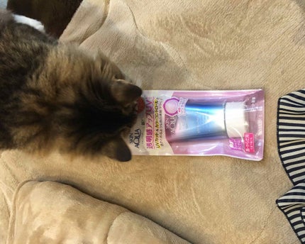 スキンアクア トーンアップUVエッセンス/スキンアクア/日焼け止めクリームを使ったクチコミ(1枚目)