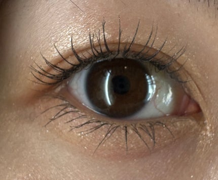 ディオールショウ サンク クルール/Dior/アイシャドウを使ったクチコミ(5枚目)