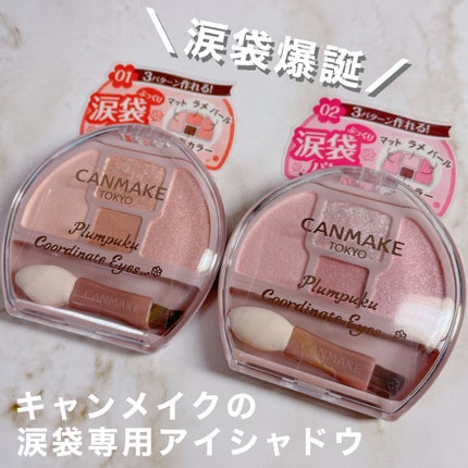 プランぷくコーデアイズ/キャンメイク/パウダーアイシャドウを使ったクチコミ(1枚目)