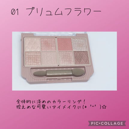 プティパレットアイズ/キャンメイク/パウダーアイシャドウを使ったクチコミ(3枚目)