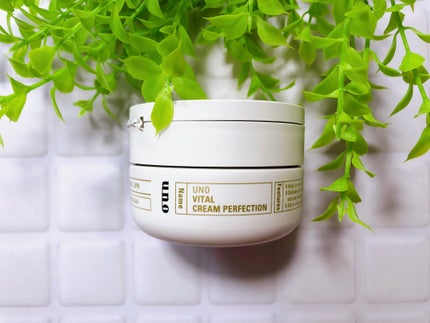 UNO ウーノ バイタルクリームパーフェクション fA(医薬部外品)のクチコミ「1品でエイジングケア※できるオールインワンクリーム✨
𝕦𝕟𝕠 〝バイタルクリームパーフェクショ.....」(2枚目)