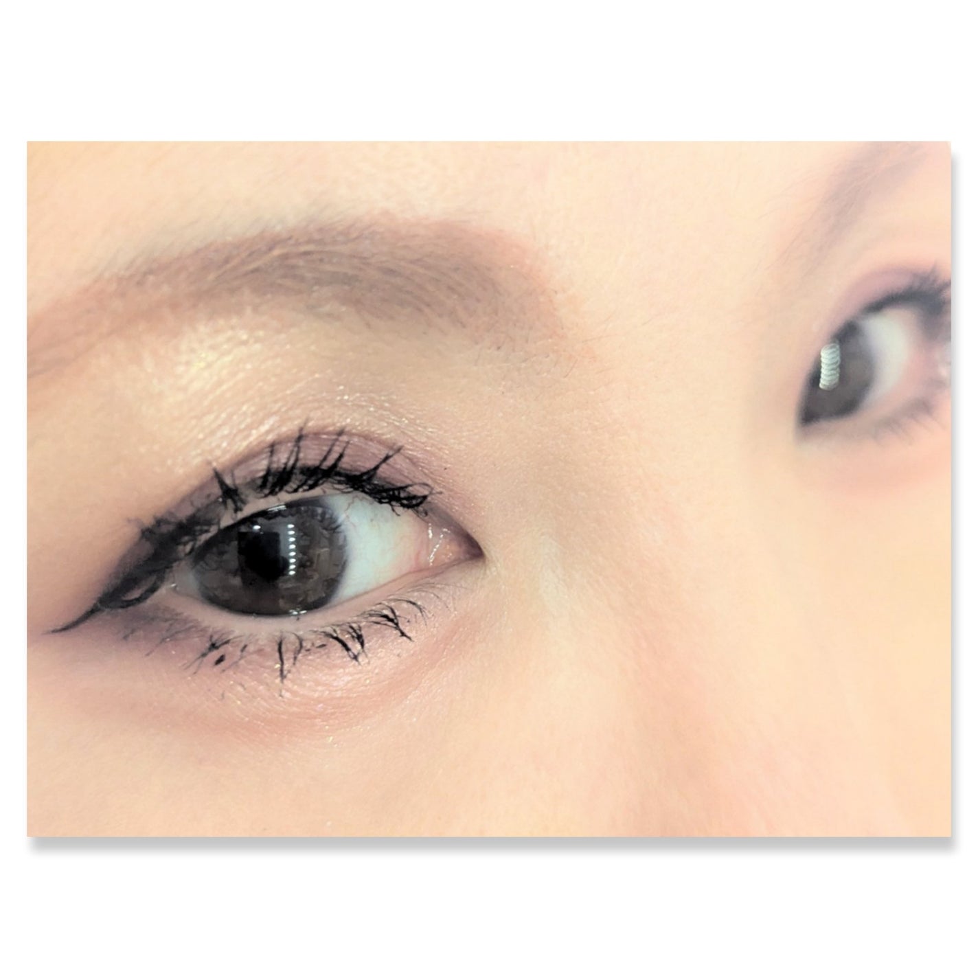 アイカラーパレット/heme/アイシャドウパレットを使ったクチコミ(2枚目)