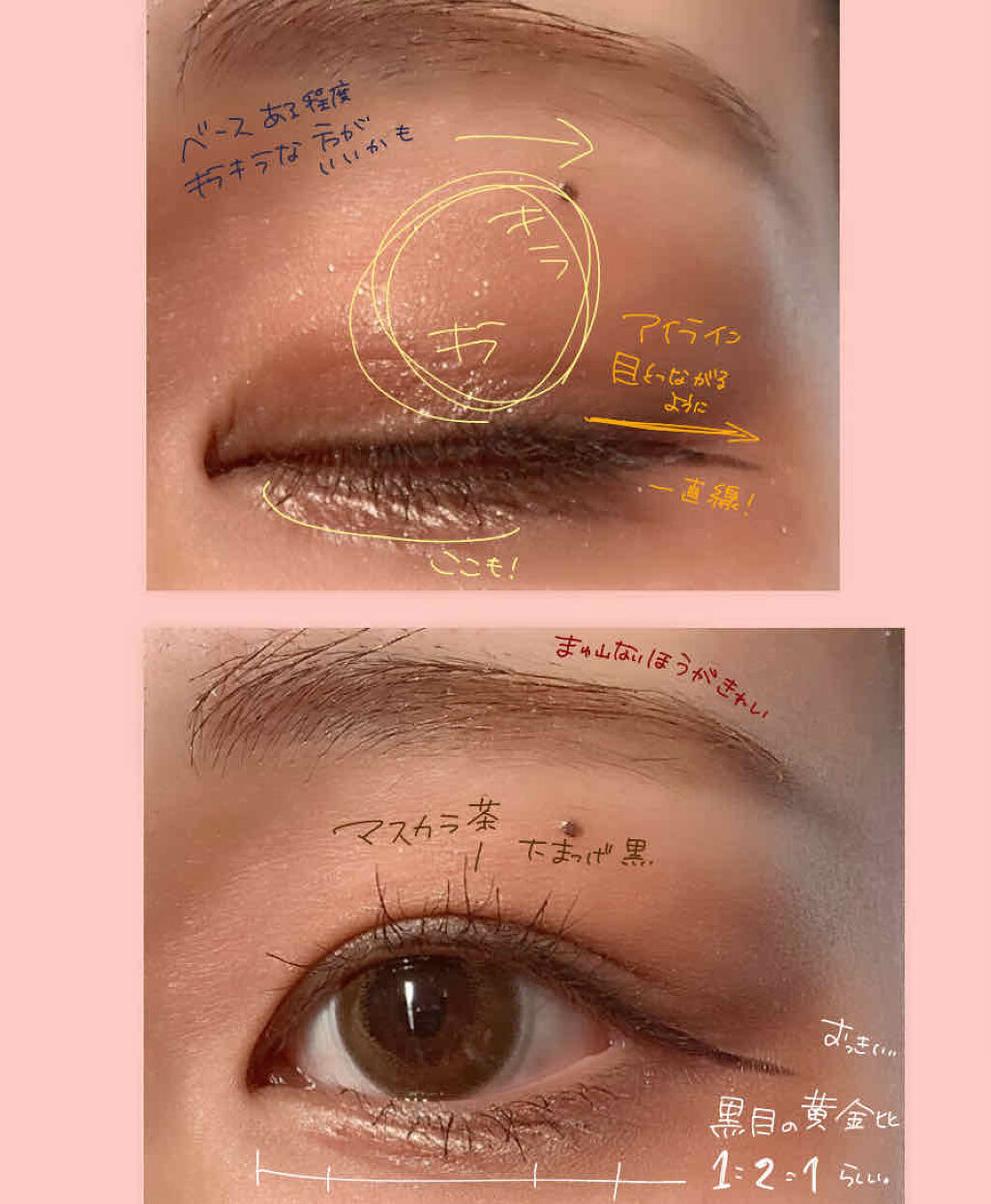 トーンアップアイシャドウ/CEZANNE/アイシャドウパレットを使ったクチコミ（2枚目）