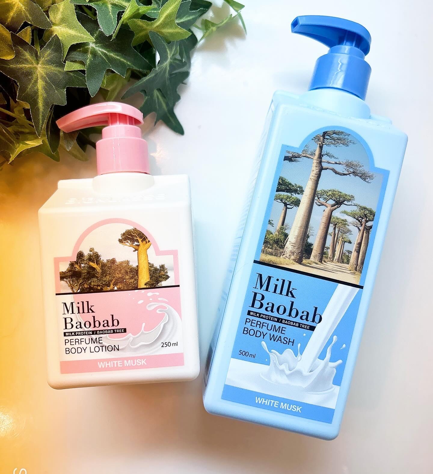 ミルクバオバブ パフュームボディローション ホワイトムスク/ミルクバオバブ/ボディローションを使ったクチコミ（1枚目）