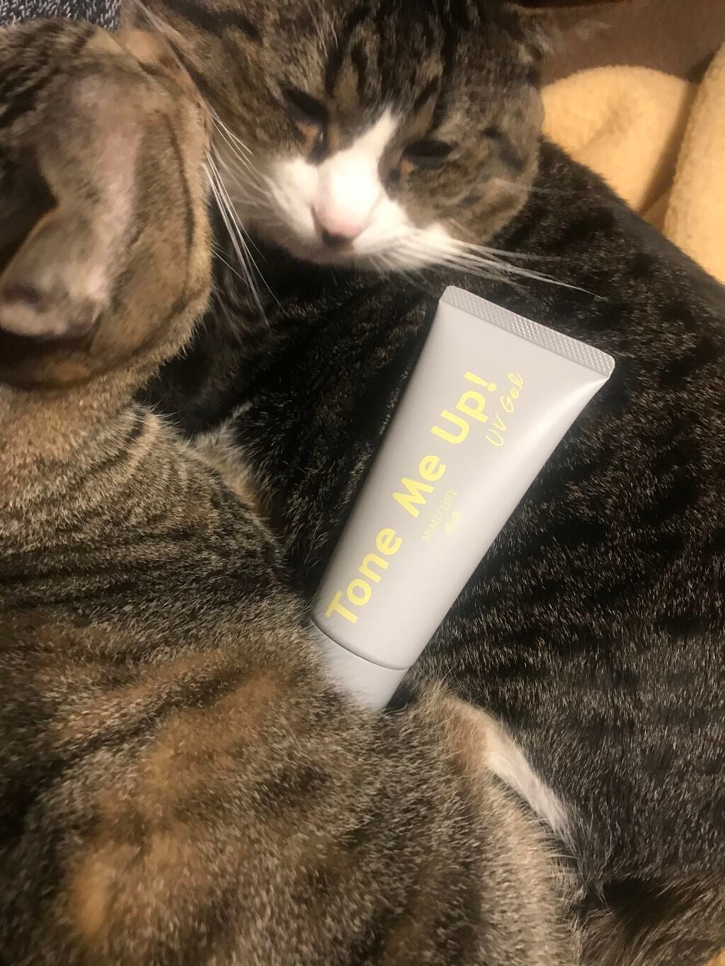 ミミチュール トーンミーアップ UVジェル/クラブ/日焼け止めジェルを使ったクチコミ(3枚目)