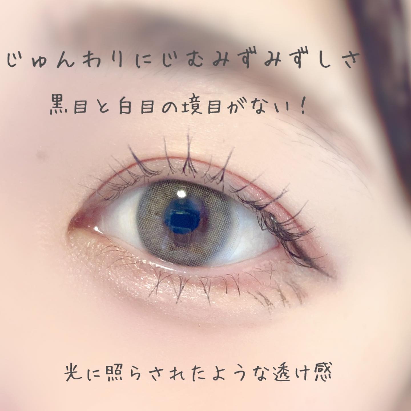 エーブルワンデーグレー(A.ble 1day Gray)/OLOLA/ワンデー（１DAY）カラコンを使ったクチコミ（3枚目）