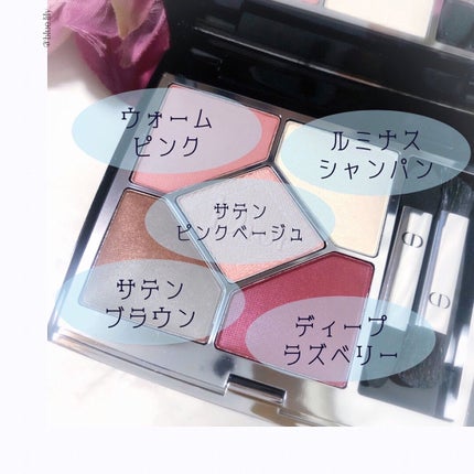 【旧】サンク クルール クチュール/Dior/アイシャドウパレットを使ったクチコミ(5枚目)
