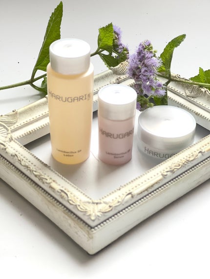 ã䜿ã£ãã¯ãã³ãïŒ1æç®ïŒ