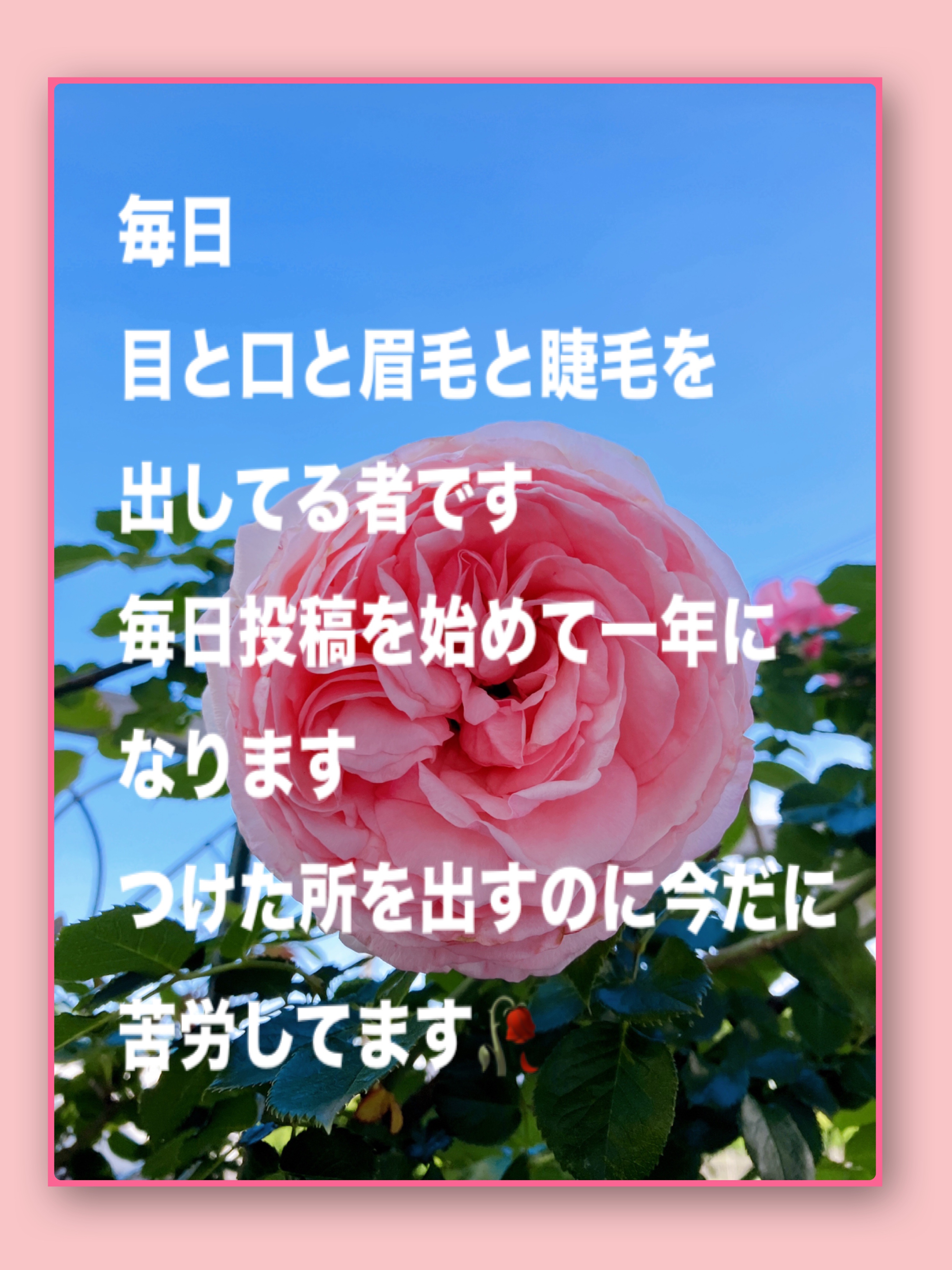 クリーミータッチライナー/キャンメイク/ジェルアイライナーを使ったクチコミ（1枚目）