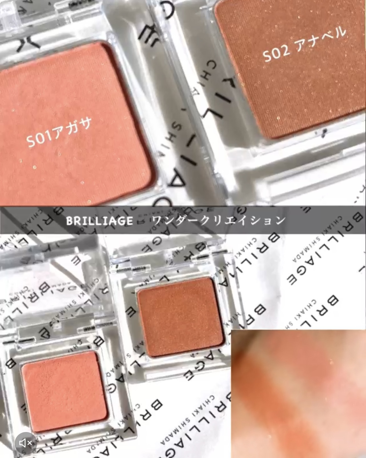 マスキング ティント リップス/ブリリアージュ/リップティントを使ったクチコミ（3枚目）