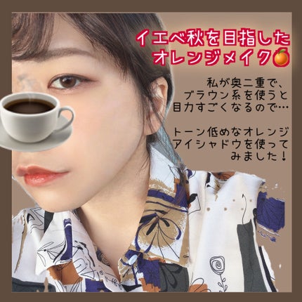 リシェ カラーリング アイブロウマスカラ/Visée/眉マスカラを使ったクチコミ(6枚目)