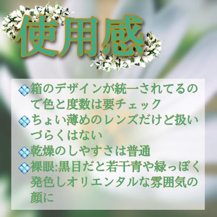 ReVIA 1day/ReVIA/ワンデー(1DAY)カラコンを使ったクチコミ(4枚目)