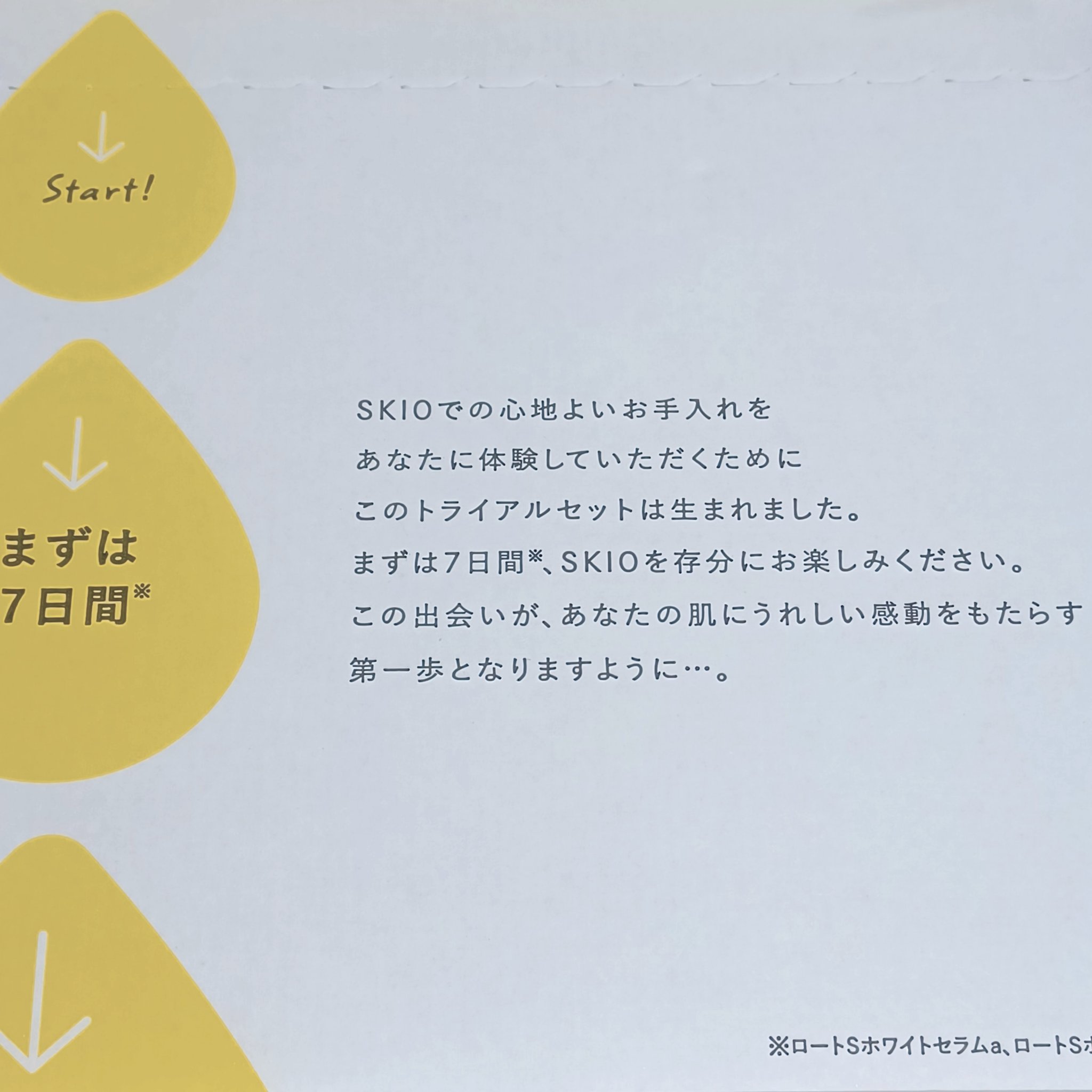 SKIOトライアルキット/SKIO/トライアルキットを使ったクチコミ（2枚目）