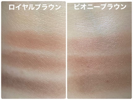 スキニーリッチシャドウ/excel/アイシャドウパレットを使ったクチコミ(5枚目)