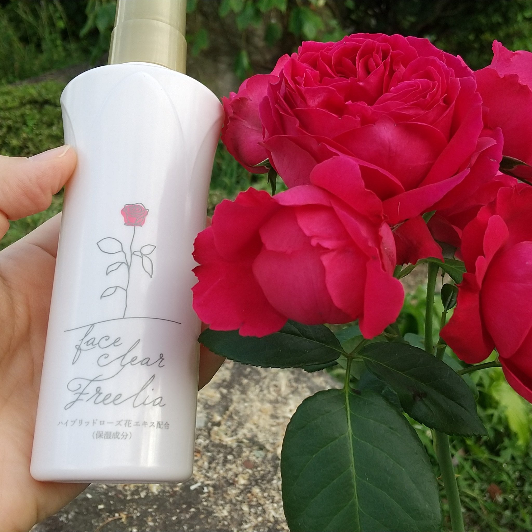 を使ったクチコミ（1枚目）