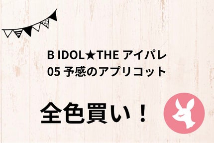 THE アイパレR/b idol/アイシャドウパレットを使ったクチコミ(1枚目)