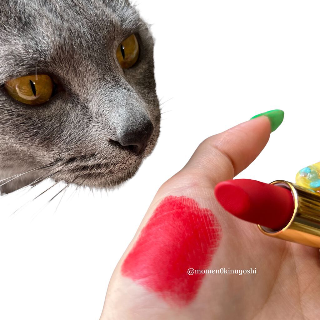 CigaLong×陳情令 Matte Lipstick/CigaLong/口紅を使ったクチコミ（2枚目）