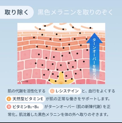 ホワイトCプレミアム(医薬品)/トランシーノ/その他を使ったクチコミ(8枚目)