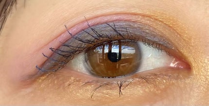 オンブル ジェ/GUERLAIN/アイシャドウパレットを使ったクチコミ(5枚目)