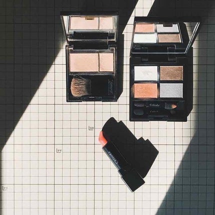 ディグニファイド リップス/Celvoke/口紅を使ったクチコミ(1枚目)