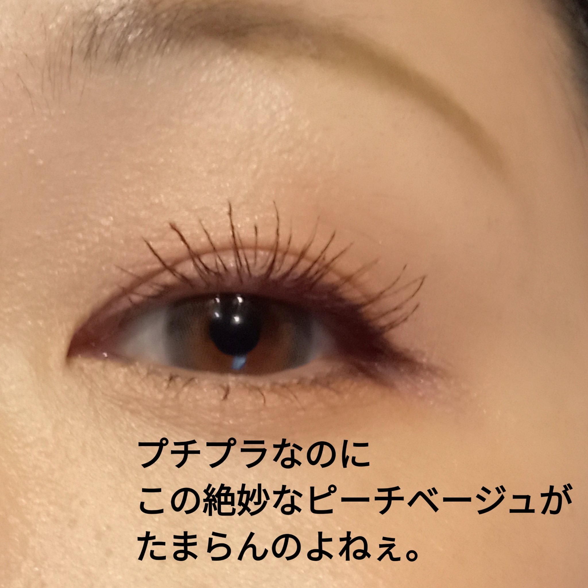 ベージュトーンアイシャドウ/CEZANNE/アイシャドウパレットを使ったクチコミ（2枚目）