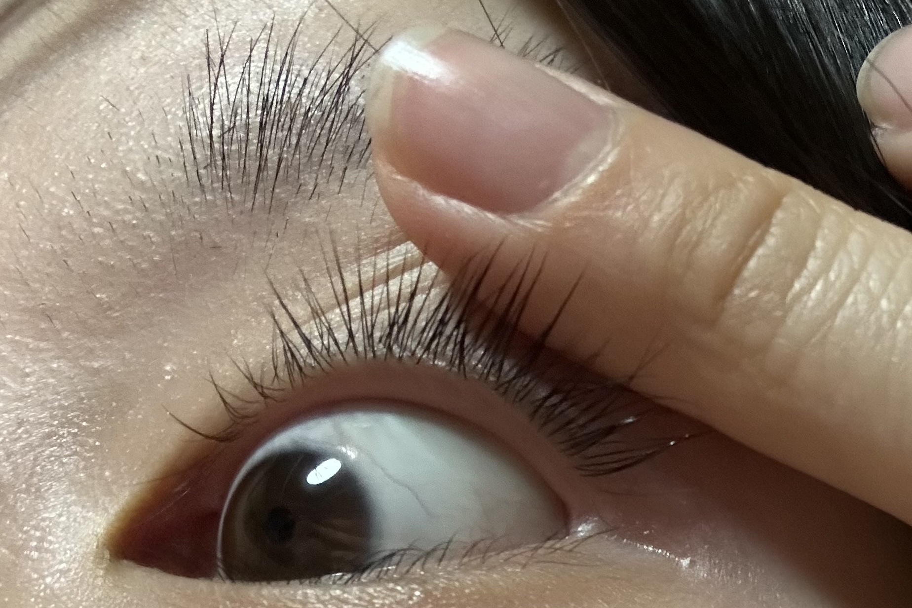 アイラッシュセラム/PHOEBE BEAUTY UP/まつげ美容液を使ったクチコミ（3枚目）