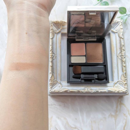 ドラマティックスタイリングアイズS/マキアージュ/アイシャドウパレットを使ったクチコミ(3枚目)