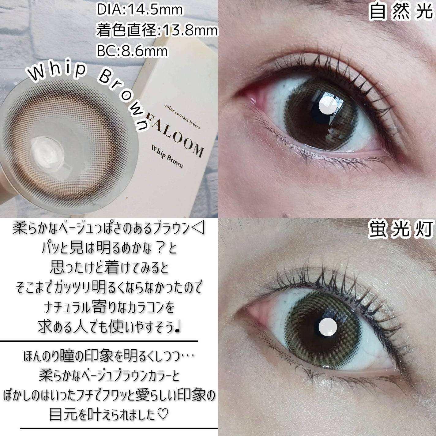 FALOOM 1DAY/FALOOM/ワンデー(1DAY)カラコンを使ったクチコミ(4枚目)