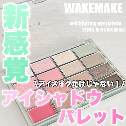 ソフトブラーリングアイパレット/wakemake/アイシャドウパレットを使ったクチコミ(1枚目)