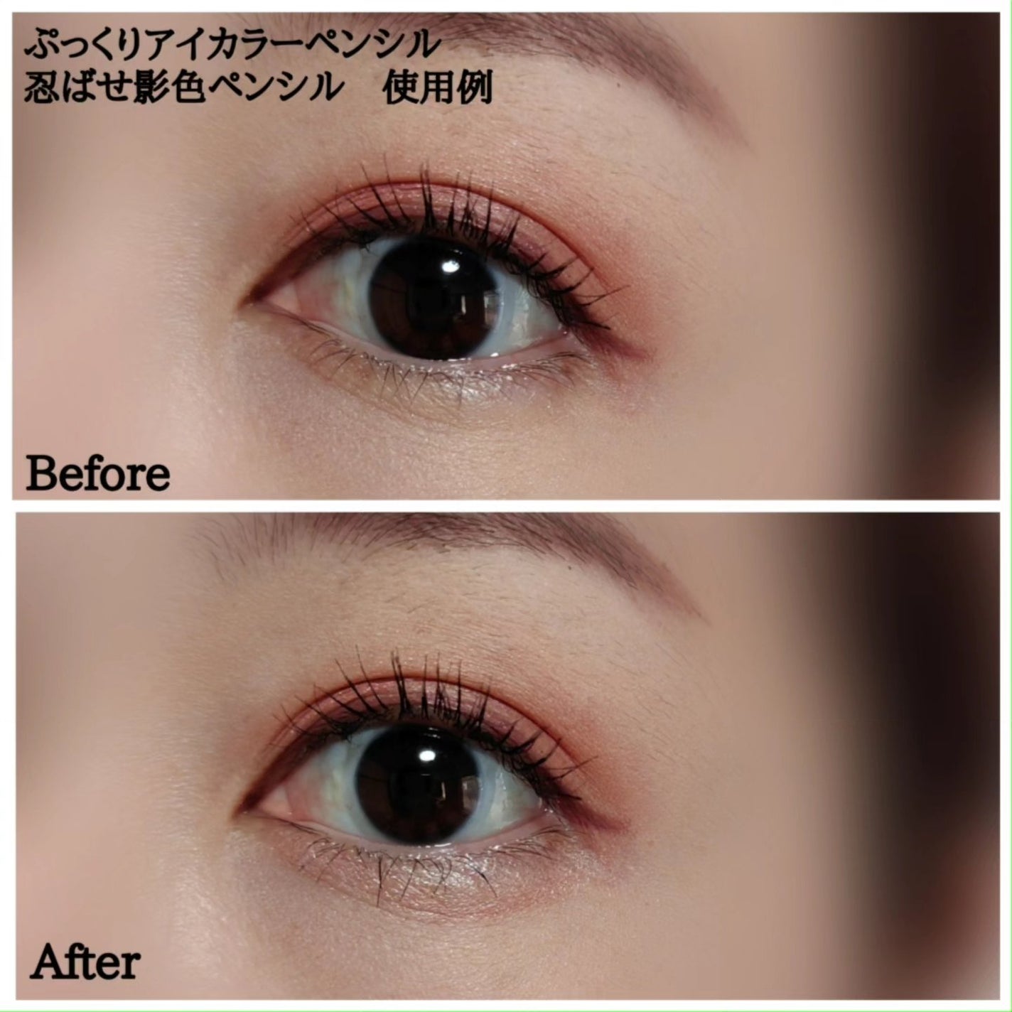 ぷっくりアイカラーペンシル/ミゼルエディ/スティックアイシャドウを使ったクチコミ(5枚目)