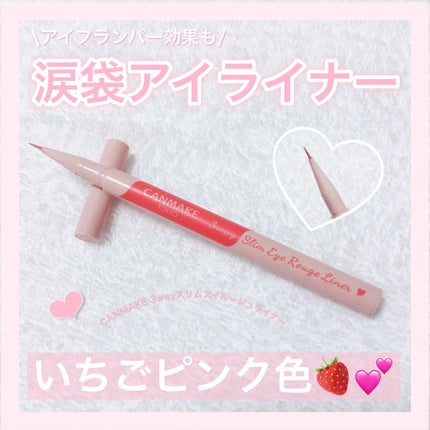 3wayスリムアイルージュライナー/キャンメイク/リキッドアイライナーを使ったクチコミ(1枚目)