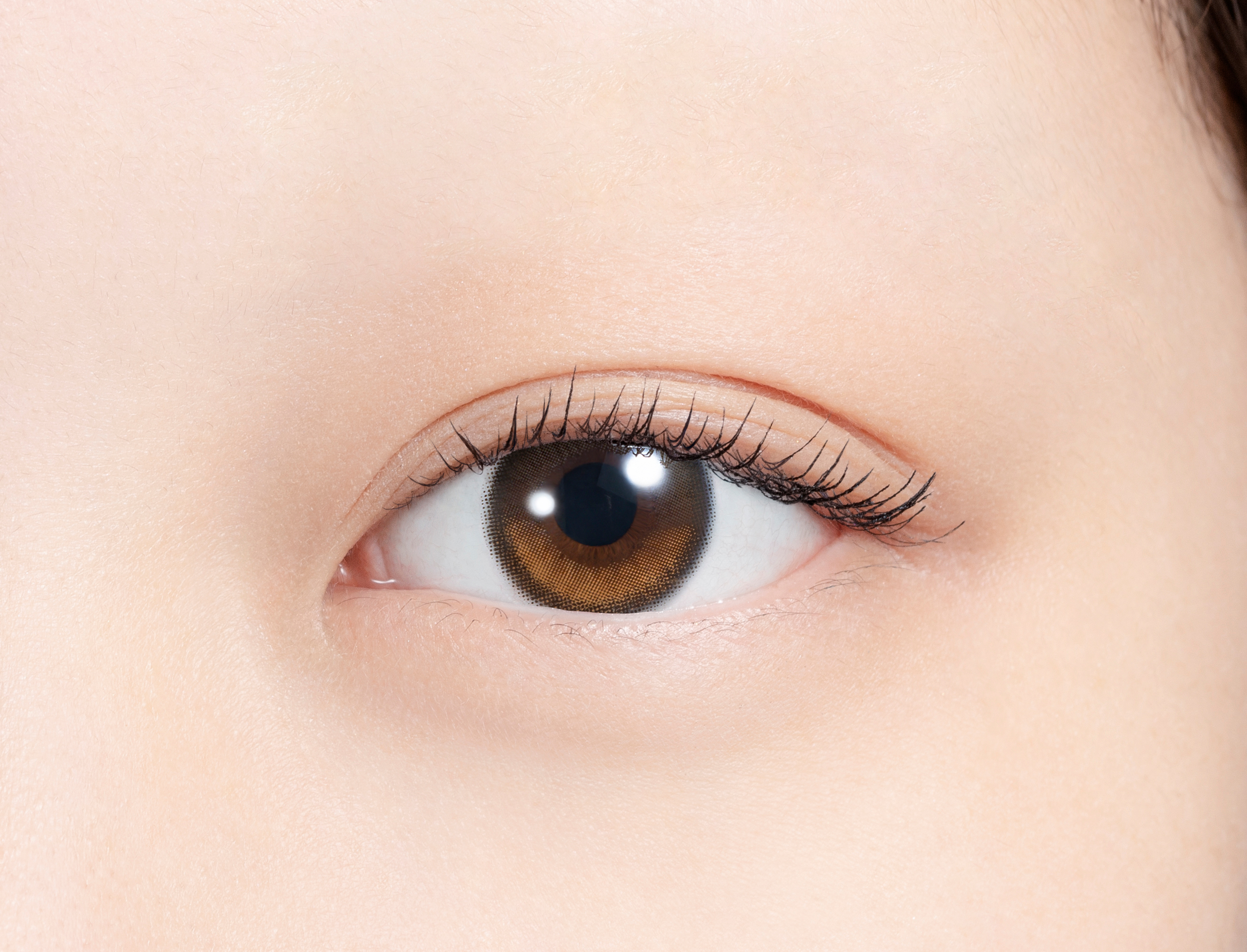 N’s COLLECTION 1day どら焼き