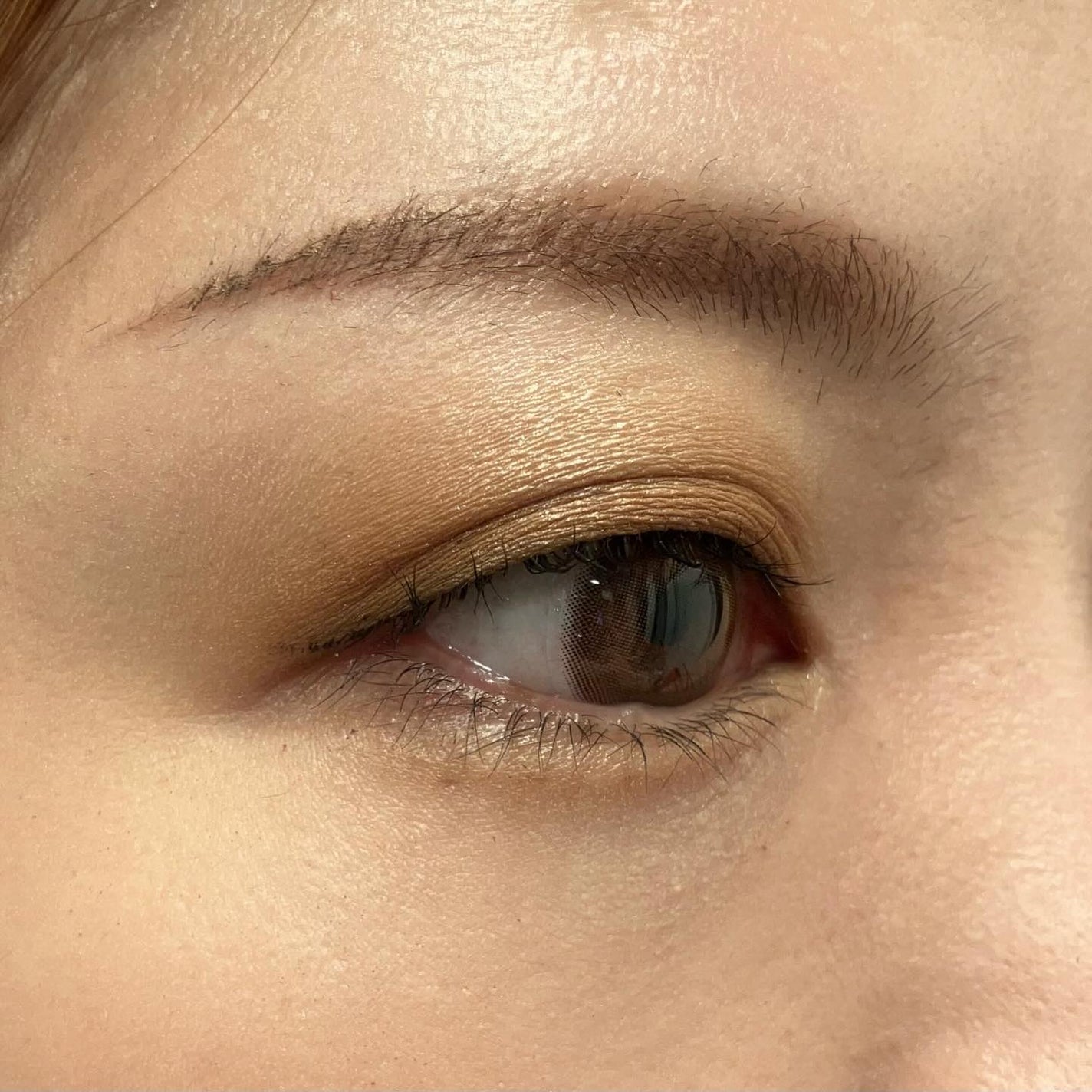 キスミー フェルム スタイリングアイパレット/キスミー フェルム/アイシャドウパレットを使ったクチコミ(5枚目)