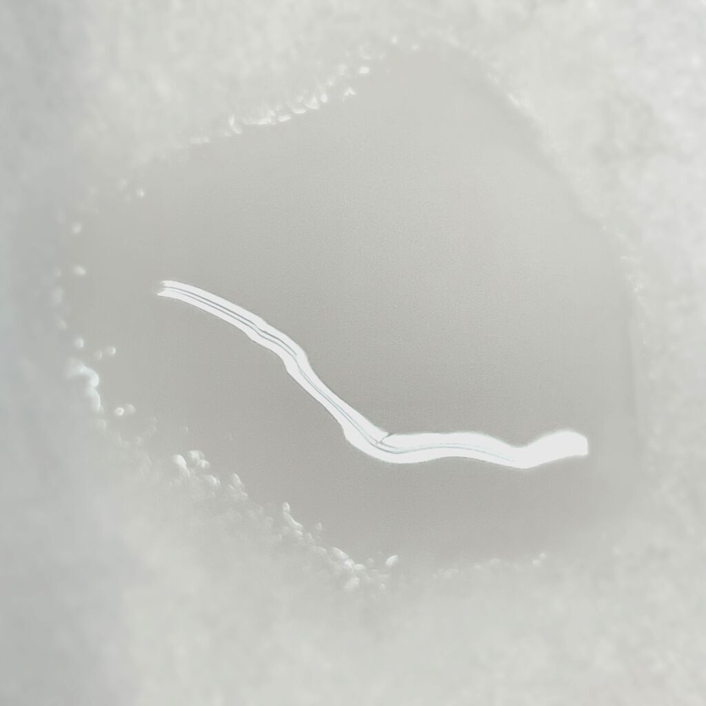 リサージ スキンメインテナイザー MII/リサージ/化粧水を使ったクチコミ(3枚目)