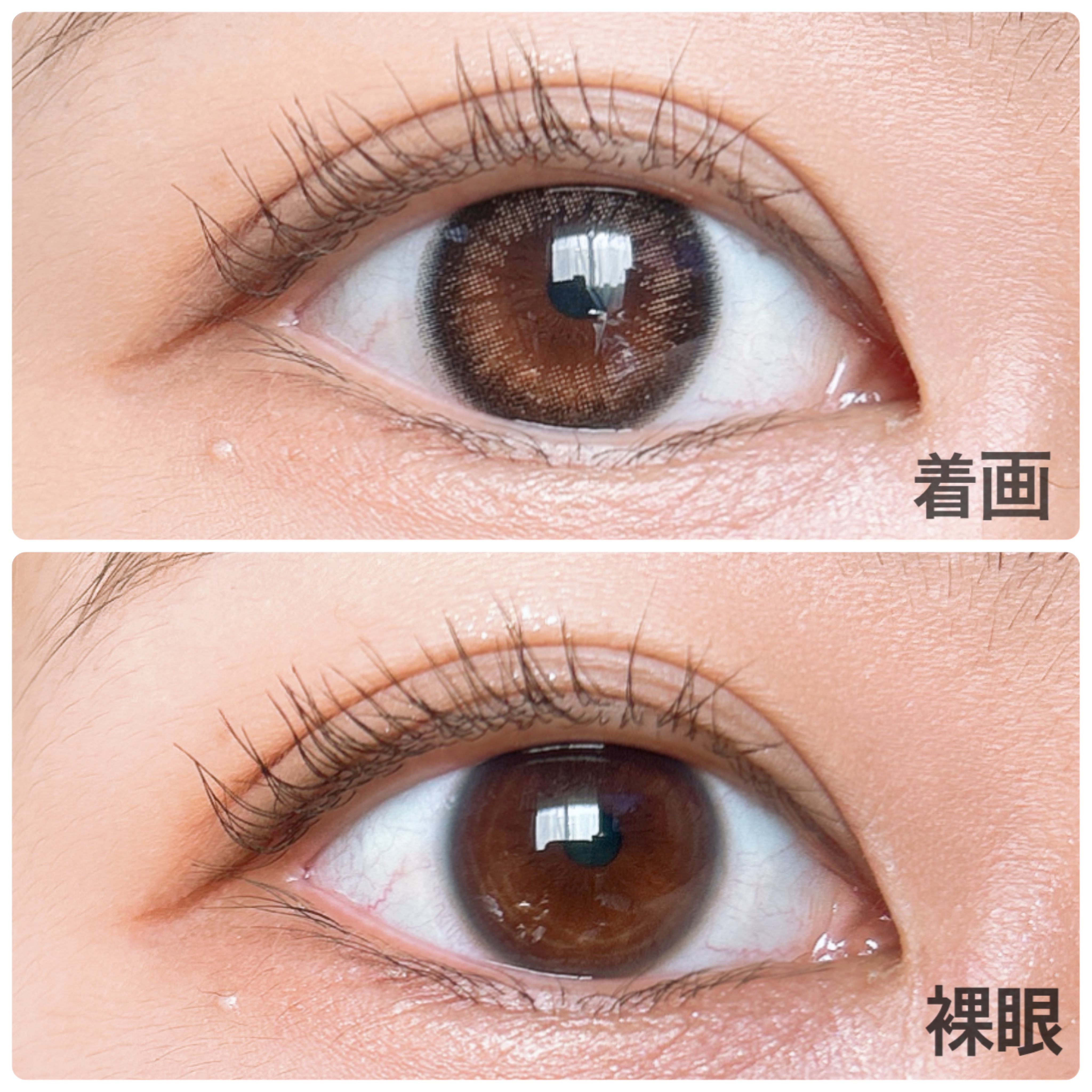 ramurie ラムリエ/ramurie/ワンデー（１DAY）カラコンを使ったクチコミ（3枚目）