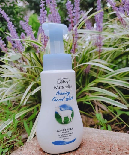 レイヴィーフォームフェイシャルウォッシュ ゴートミルク/Leivy/洗顔フォームを使ったクチコミ(1枚目)