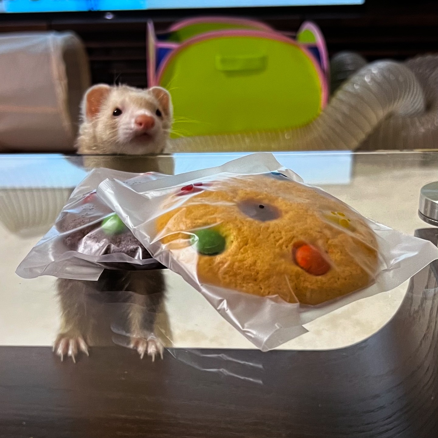 ミトコントロール/TIMA Tokyo/美容サプリメントを使ったクチコミ（3枚目）