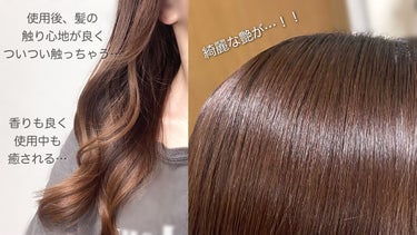 TSUBAKI プレミアムＥＸ インテンシブリペア ＜シャンプー＞／コンディショナー＜ヘアトリートメント＞ のクチコミ「ダメージケア商品は沢山あって迷う〜って方におすすめなのがTSUBAKI PremiumEX 。.....」（2枚目）