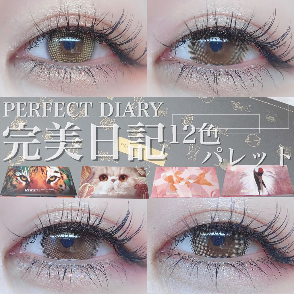 エクスプローラ12色 動物アイシャドウパレット/PERFECT DIARY/アイシャドウパレットを使ったクチコミ（1枚目）