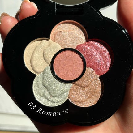 チアリー カラーズ フォー アイズ/MARY QUANT/アイシャドウパレットを使ったクチコミ(4枚目)